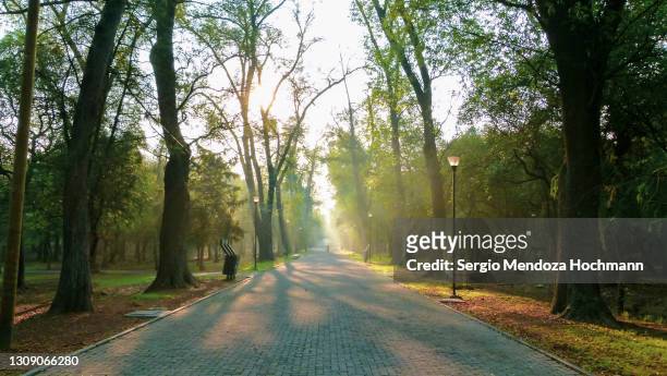jogging and walking path in chapultepec park - mexico city, mexico - chapultepec park - fotografias e filmes do acervo