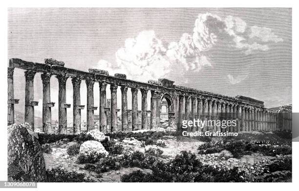 stockillustraties, clipart, cartoons en iconen met palmyra syrië ruïnes van de grote colonnade 1877 - palmera