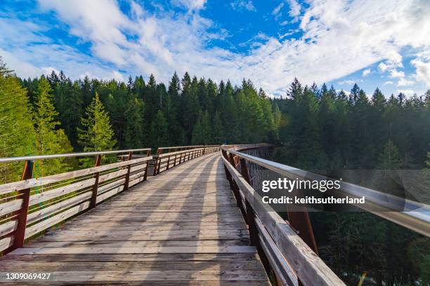 kinsol trestle, the cowichan valley, vancouver island, vancouver, british columbia, canada - vancouver island stock pictures, royalty-free photos & images