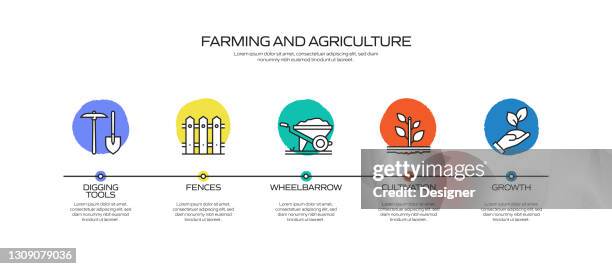 ilustraciones, imágenes clip art, dibujos animados e iconos de stock de plantilla infográfica de procesos relacionados con la agricultura y la agricultura. gráfico de la línea de tiempo del proceso. diseño de flujo de trabajo con iconos - sembrar
