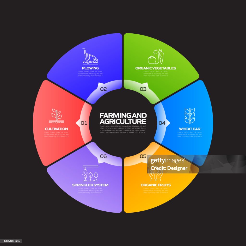 Farming And Agriculture Related Process Infographic Template Process ...
