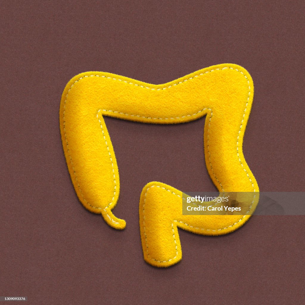 Conceptual image human intestine made of felt and  paper