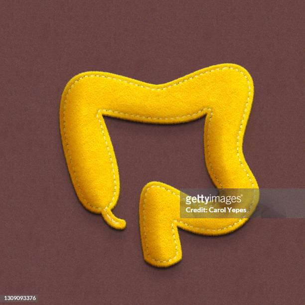 conceptual image human intestine made of felt and  paper - pancreatic cancer stockfoto's en -beelden