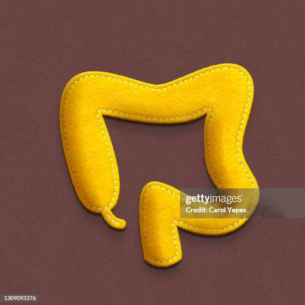 conceptual image human intestine made of felt and  paper - appendix stock pictures, royalty-free photos & images