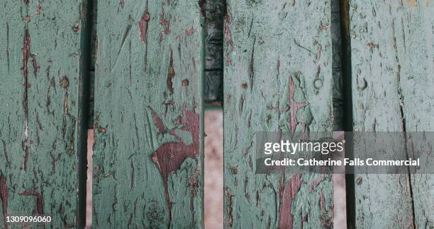 green wooden planks in bad condition - peeling paint reveals rotting wood underneath - floorboard bildbanksfoton och bilder