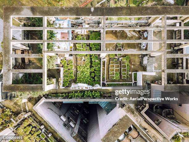 drone point view van moestuin op het dak - autarkie stockfoto's en -beelden