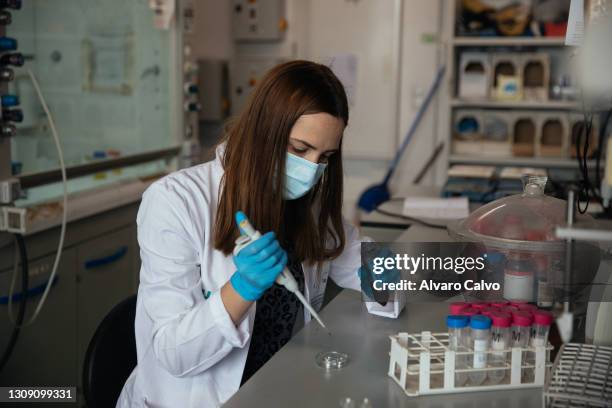 Scientist Marta Baselga , Project Director, adds drops of a liquid containing silver nanoparticles to a cuvette at a laboratory of Institute of...