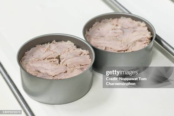 close-up shot of canned tuna on conveyor belt, thailand - canned meat stock pictures, royalty-free photos & images