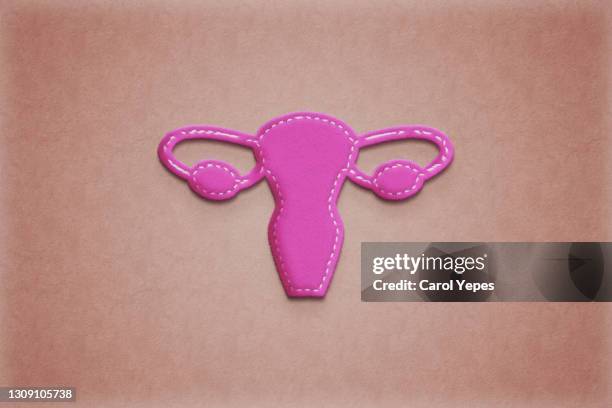 uterus un paper work.pink background - cervix stock-fotos und bilder