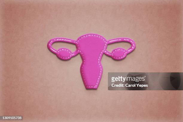uterus un paper work.pink background - ovary stock pictures, royalty-free photos & images