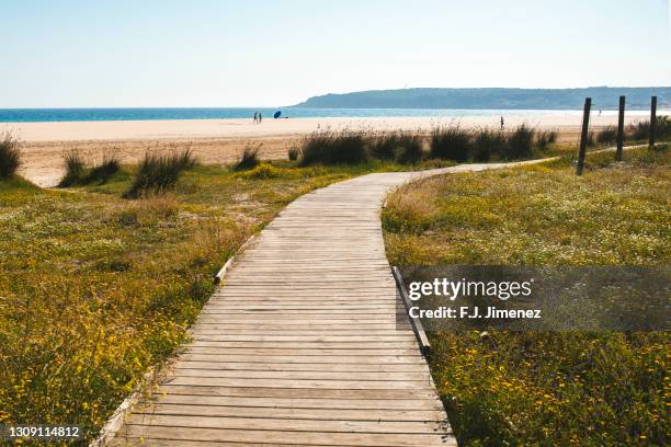 wooden path on the beach - paso entablado fotografías e imágenes de stock