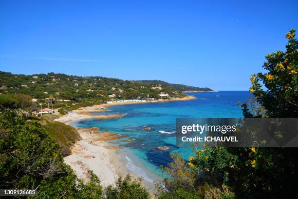 view of st tropez coast france - st tropez photos et images de collection