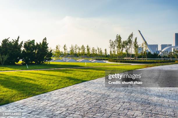 empty square in the park - build path stockfoto's en -beelden