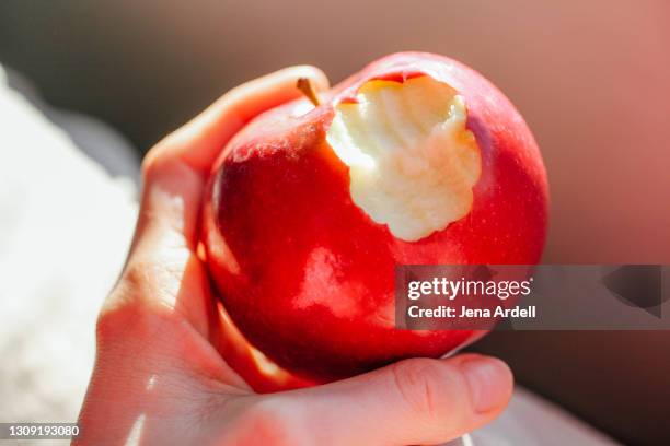 mcintosh apple with bite out, ripe apple missing bite - pomme croquée photos et images de collection