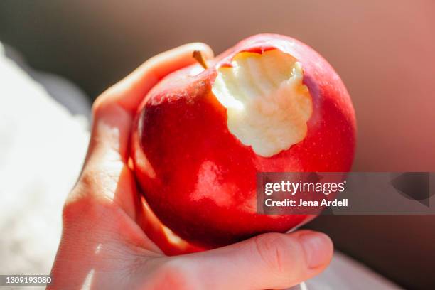 mcintosh apple with bite out, ripe apple missing bite - missing bite stock pictures, royalty-free photos & images