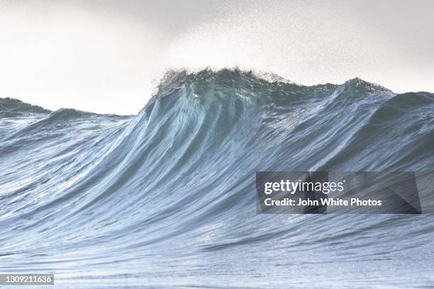 breaking wave. surf wave. east coast of australia. - wollongong stock pictures, royalty-free photos & images