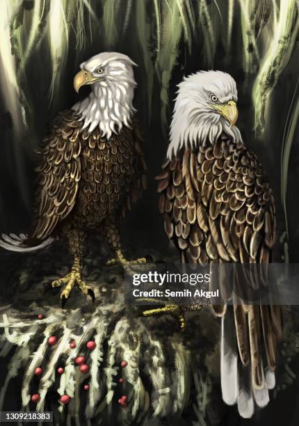 illustrazioni stock, clip art, cartoni animati e icone di tendenza di una coppia di aquile nel loro nido - eagle nest