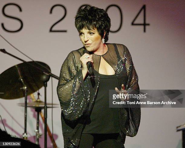 Liza Minnelli during amfAR's "Cinema Against AIDS Cannes" benefit. Sponsored by Miramax and Quintissentially - Auction at Moulin De Mougins in...