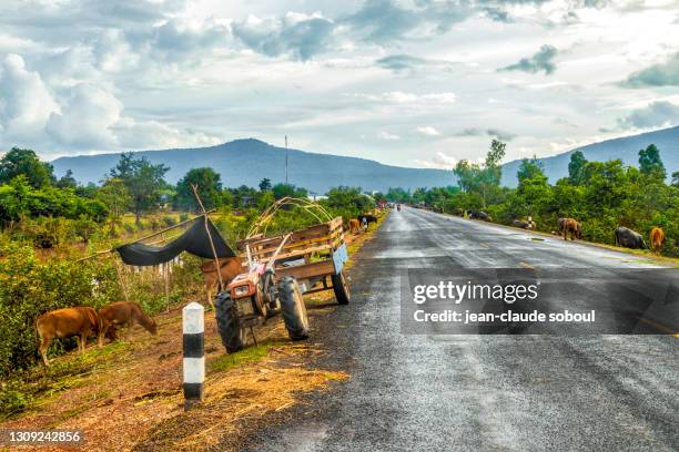 Salavan 32 Salavan Province Stock Photos, High-Res Pictures, and Images - Getty ...