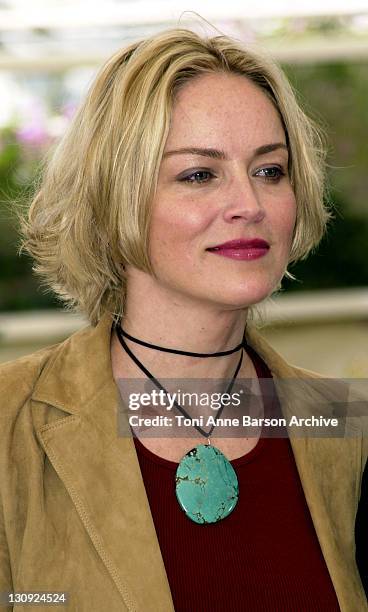 Sharon Stone during Cannes 2002 - "Official Jury" Photo Call at Palais Des Festivals in Cannes, France.