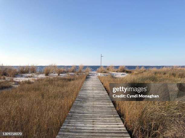 boardwalk to the chesapeake bay, tangier sound - passeio de tábuas imagens e fotografias de stock