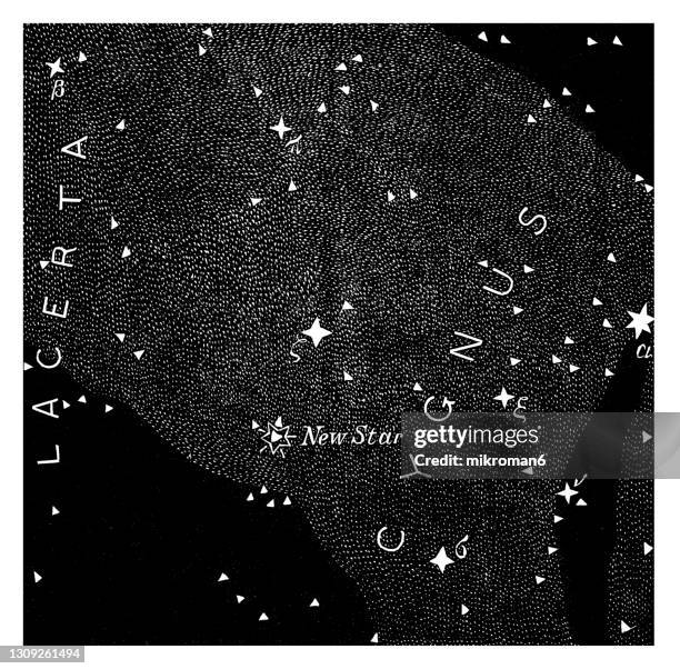 old engraved illustration of astronomy - part of cygnus, showing where the new star of november, 1876 appeared. star chart - new swans stock pictures, royalty-free photos & images