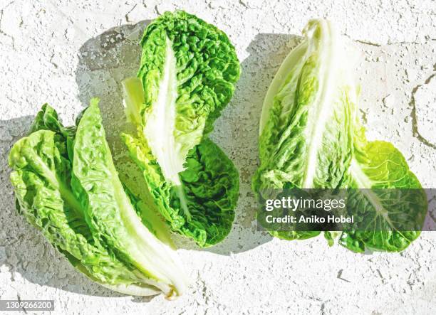 romaine lettuce hearts - lechuga romana fotografías e imágenes de stock