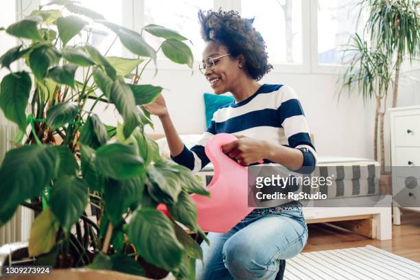 一個年輕的非洲裔美國婦女澆水植物和享受的肖像 - 室內植物 個照片及圖片檔
