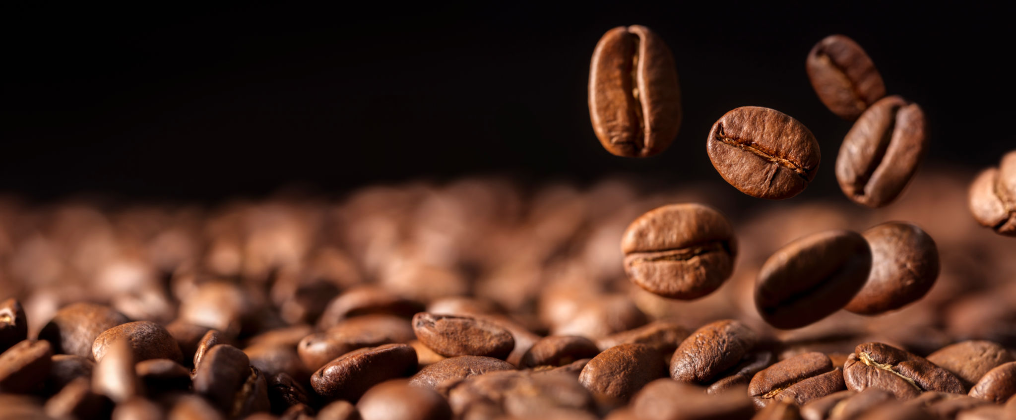 brewing green coffee