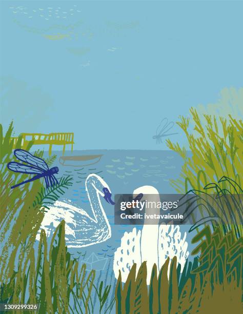 a serene scene of swans in the lake surrounded by nature - dragonfly stock illustrations