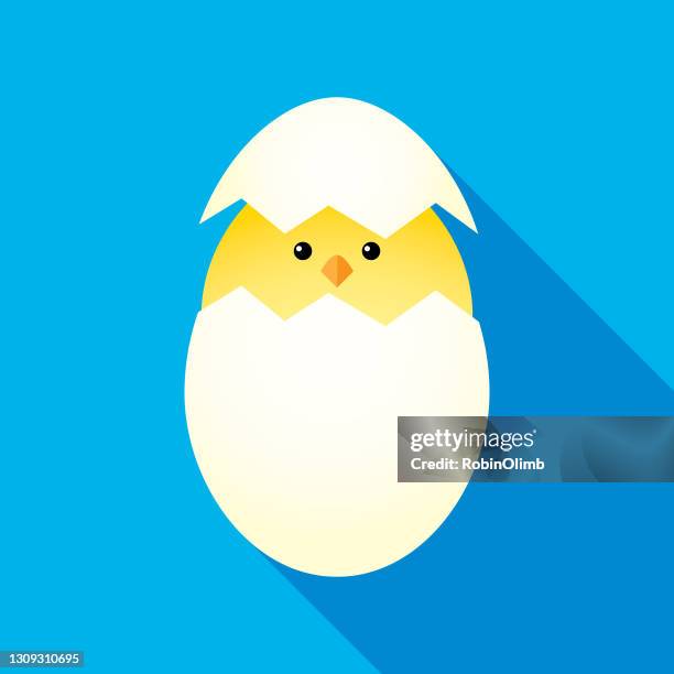 bildbanksillustrationer, clip art samt tecknat material och ikoner med baby chick kläckning från ägg - spräckt