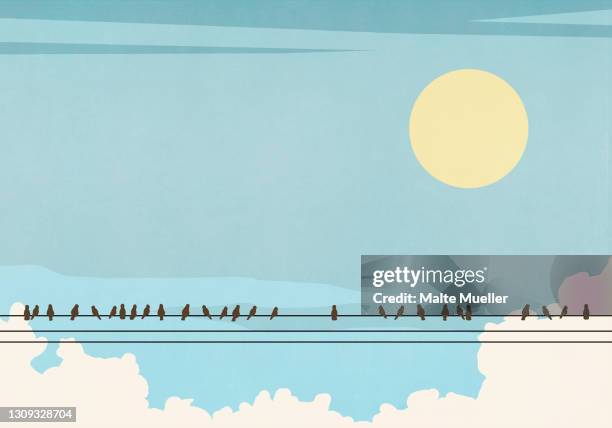 ilustraciones, imágenes clip art, dibujos animados e iconos de stock de birds perched on telephone line in sunny blue sky - telephone line