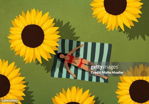 woman in bikini sunbathing on blanket among large sunflowers - bed sheets stock illustrations