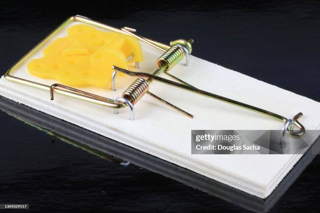 Primitive Spring Loaded Mouse Trap High-Res Stock Photo - Getty Images