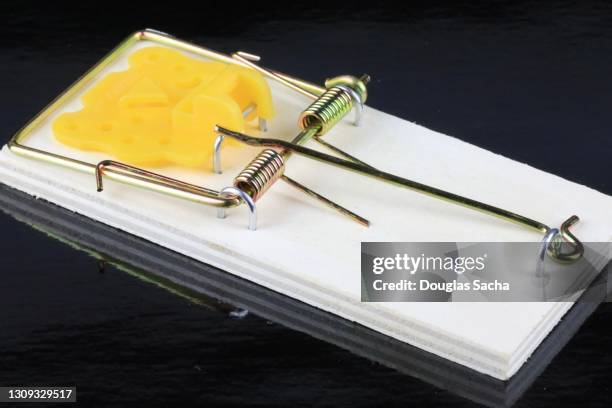 Mousetrap Spring Primitive Spring Loaded Mouse Trap High-Res Stock Photo - Getty Images