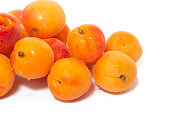 Armenian plums (Prunus armeniaca)