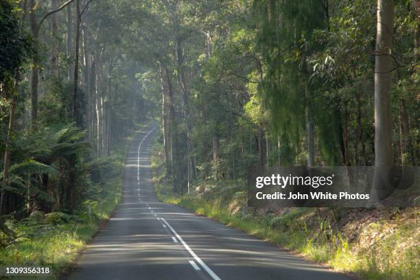 mount agony road though murramarang national park. new south wales. australia. - batemans bay fotografías e imágenes de stock