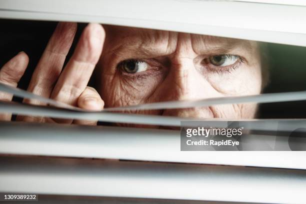 老年婦女焦急地透過百葉窗凝視著 - paranoia 個照片及圖片檔