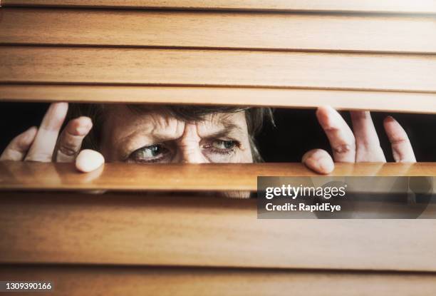 elderly woman peering anxiously through window blinds - neighbor stock pictures, royalty-free photos & images