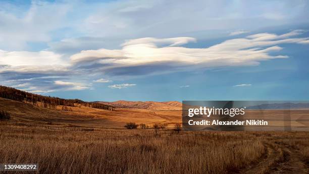 autumn steppe before snowfall - ステップ地帯 ストックフォトと画像