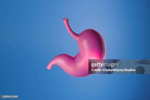 human stomach on blue background. highlighted place making suffering pain in digestive system. - stomach stock pictures, royalty-free photos & images