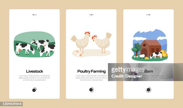 farming and agriculture concept onboarding mobile app page screen with flat icons. ux, ui design template vector illustration - livestock stock illustrations