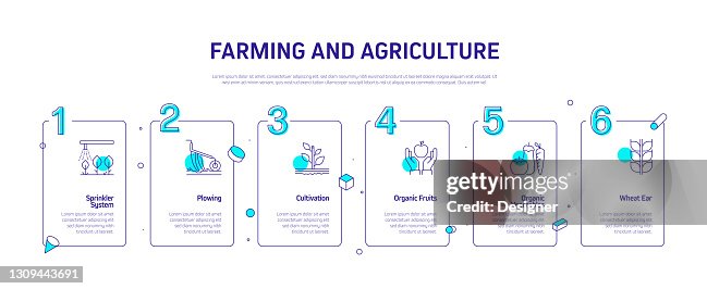 Farming And Agriculture Related Process Infographic Template Process ...