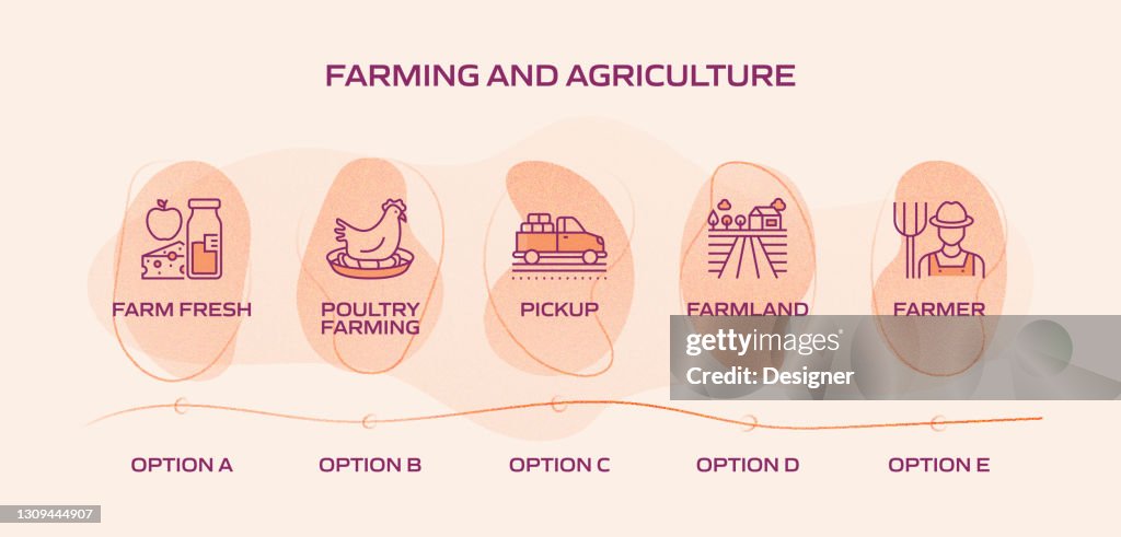 Farming And Agriculture Related Process Infographic Template Process ...