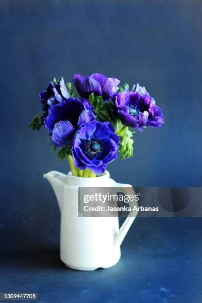 blue anemones in a white teapot - anemone stock-fotos und bilder