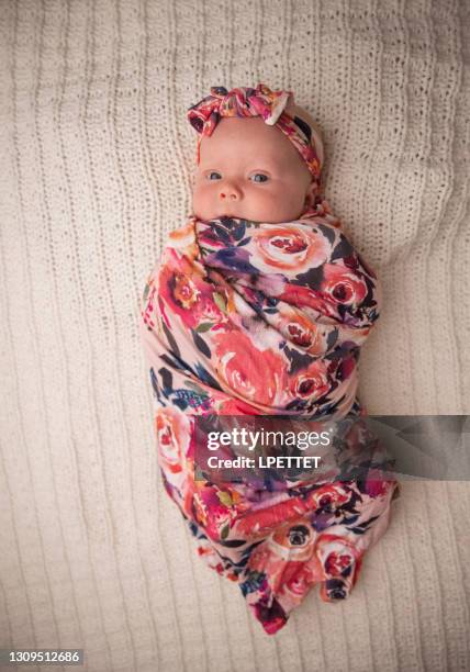 new born baby - baby blanket stock pictures, royalty-free photos & images