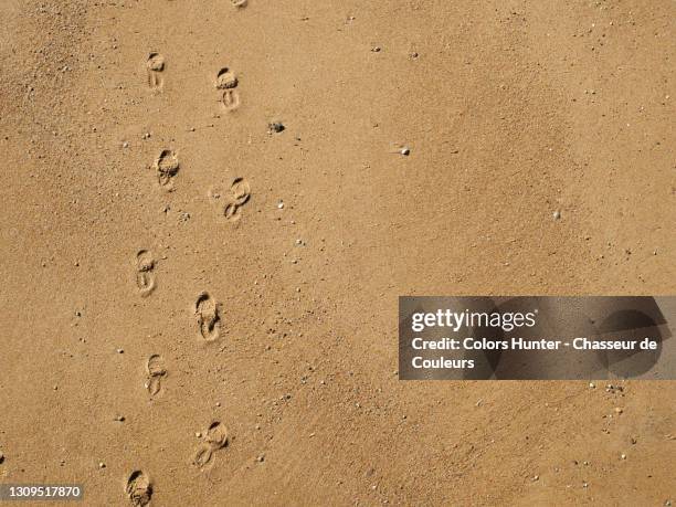 a french beach with footprints in the sand - vendée photos et images de collection