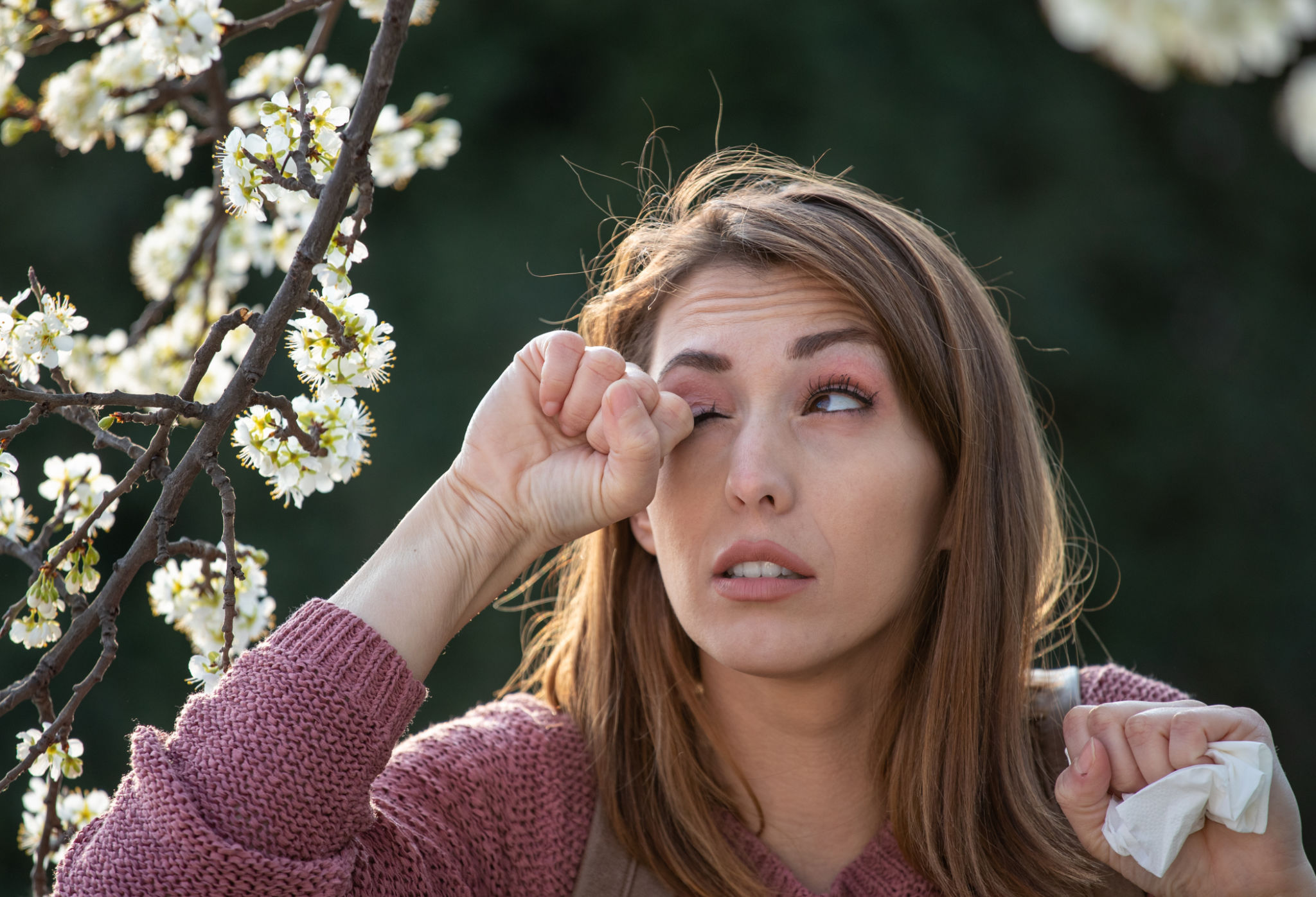 spring allergy relief