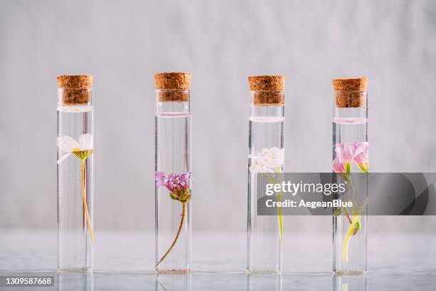 verschiedene kräuteröle mit schönen blumen - parfum stock-fotos und bilder