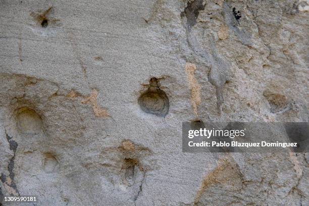 Bullet holes remain on the monument of Doctor Ricardo y Galí, from the Siege of Madrid during the Spanish Civil War in Parque del Oeste on March 28,...